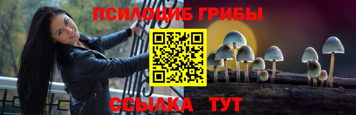 Тулун  Псилоцибиновые грибы Magic Shrooms  Вход с VPN 